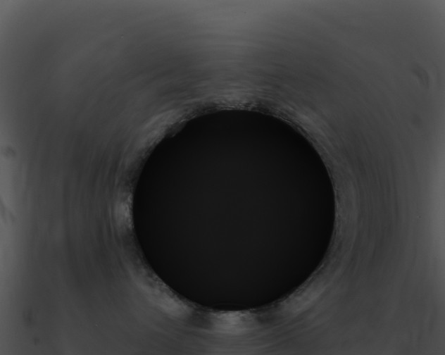 X0000091000432200708021604