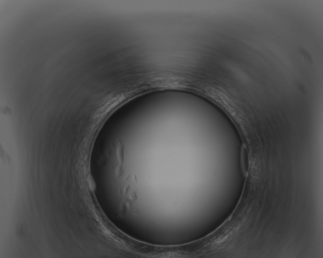 X0000091000433200708021604