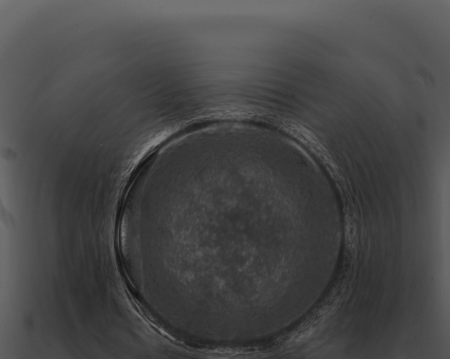 X0000091000434200708021604