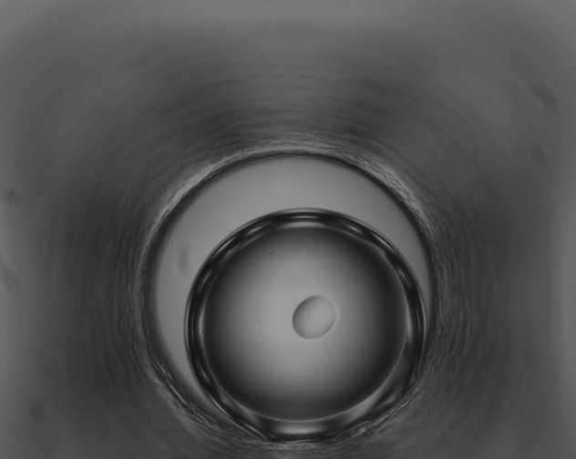 X0000091000436200708021604