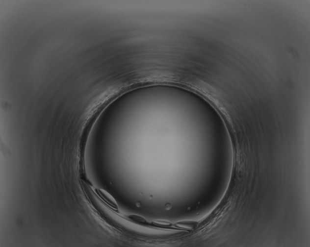 X0000091000437200708021604