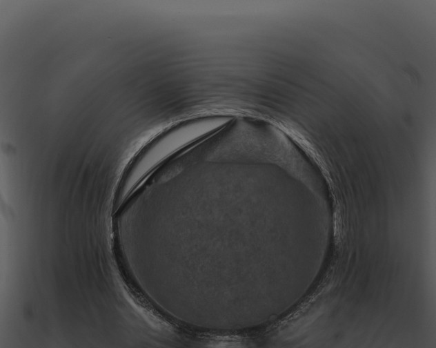 X0000091000438200708021604