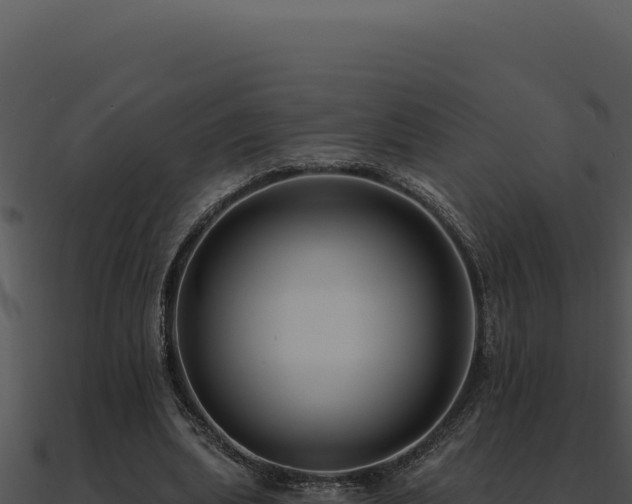 X0000091000439200708021604