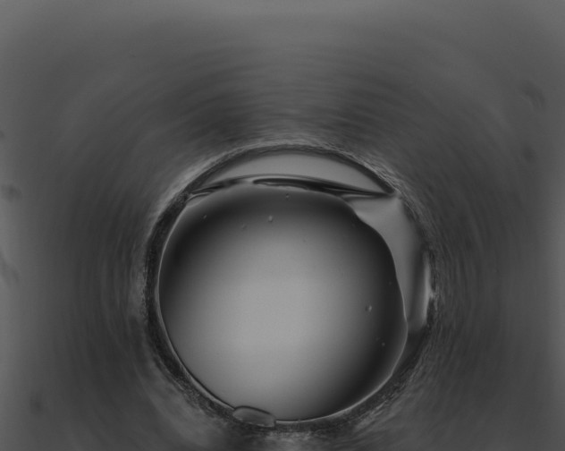 X0000091000440200708021604