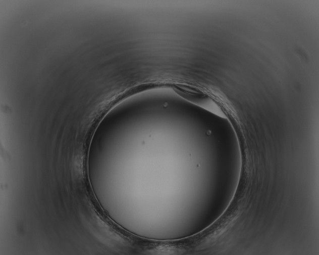 X0000091000441200708021604