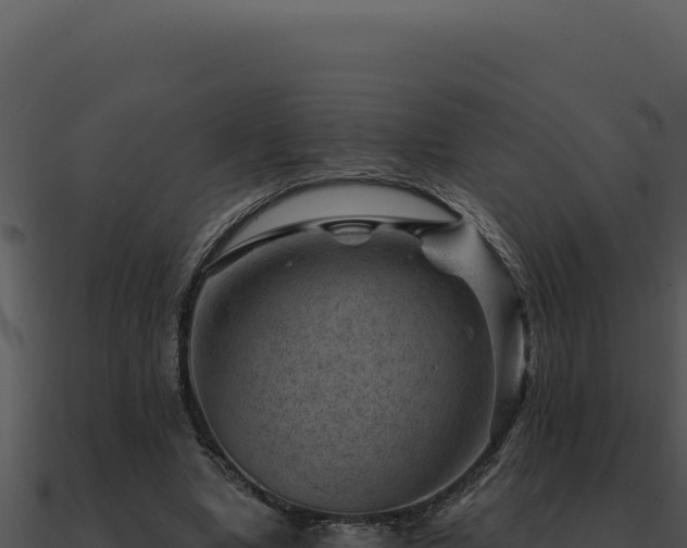 X0000091000442200708021604