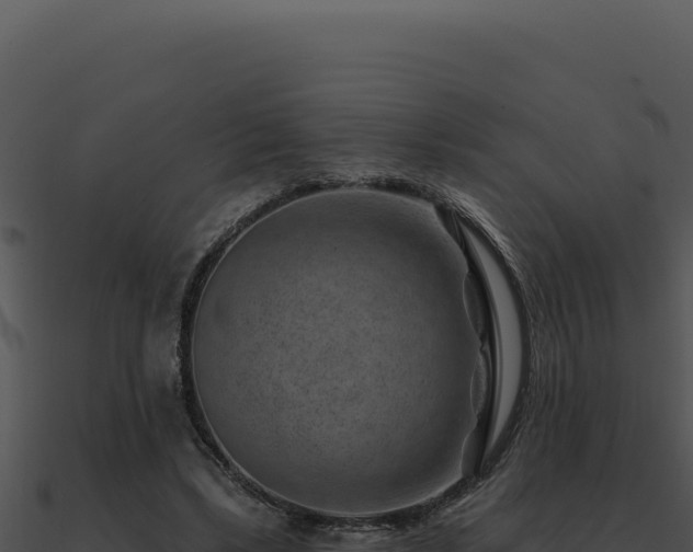 X0000091000443200708021604