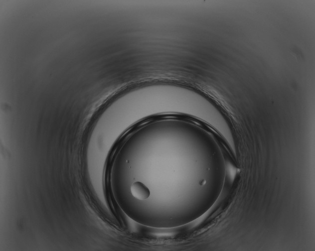 X0000091000444200708021604