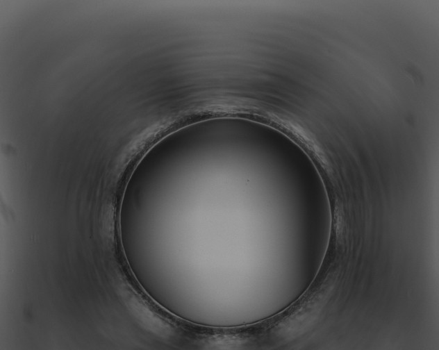 X0000091000445200708021604