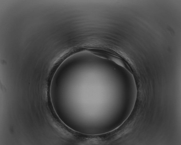 X0000091000446200708021604