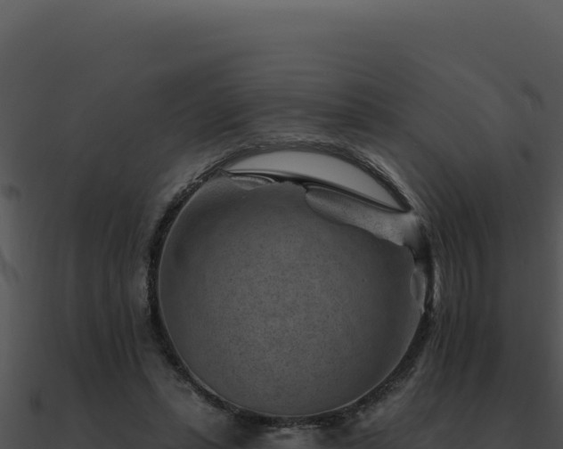 X0000091000447200708021604