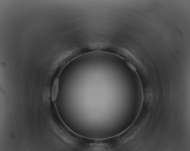 X0000091000448200708021604