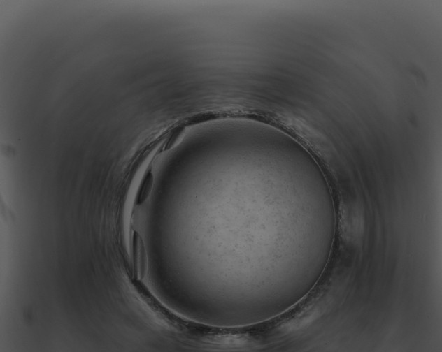 X0000091000449200708021604