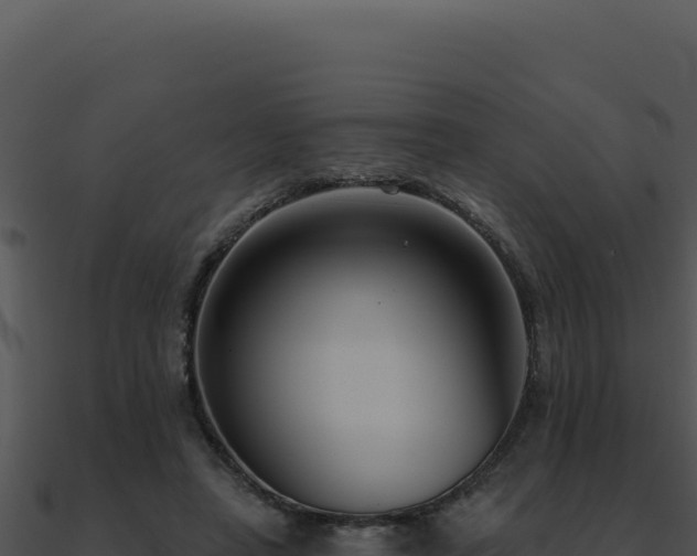 X0000091000450200708021604