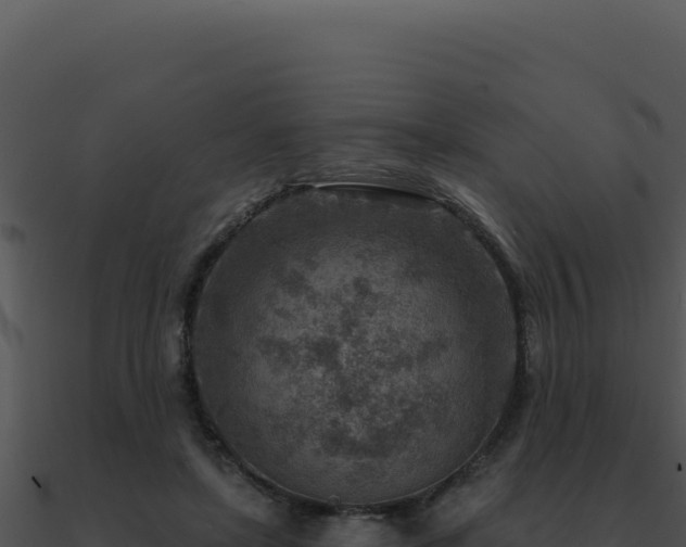 X0000091000451200708021604