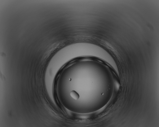X0000091000452200708021604