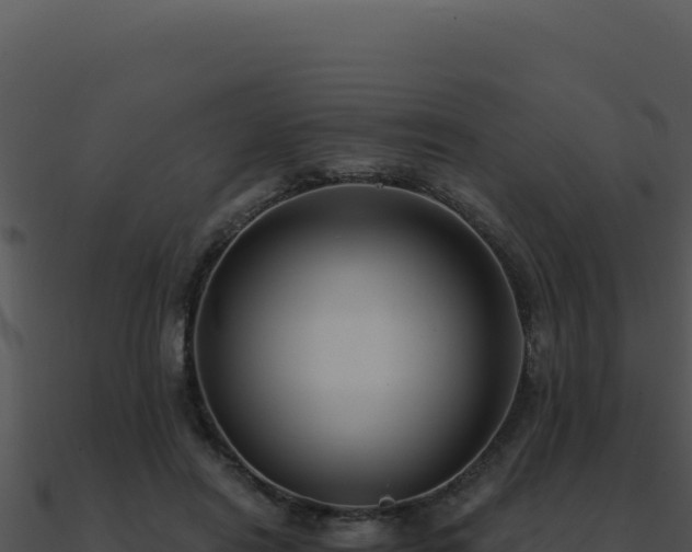 X0000091000454200708021604