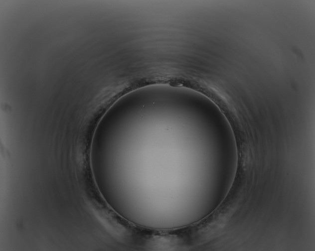 X0000091000455200708021604