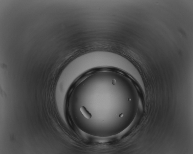 X0000091000456200708021604
