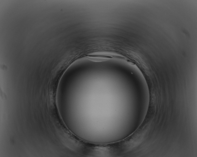 X0000091000457200708021604
