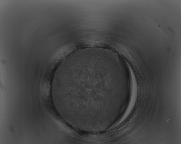 X0000091000458200708021604