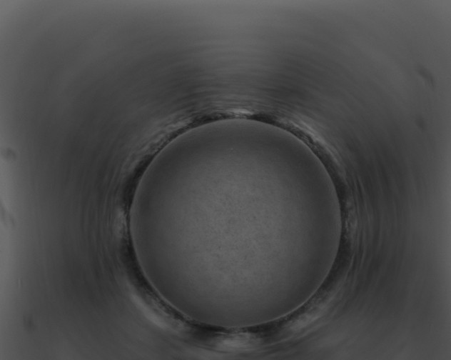 X0000091000459200708021604
