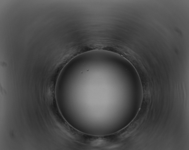 X0000091000460200708021604