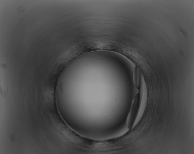 X0000091000461200708021604