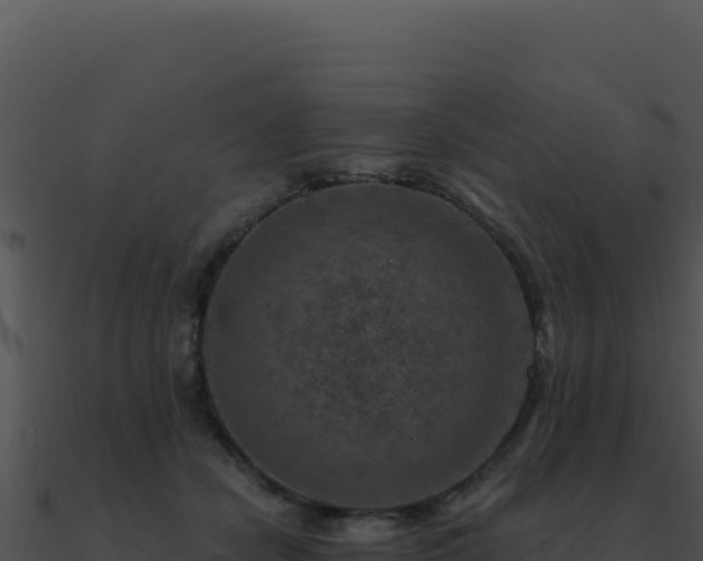 X0000091000462200708021604