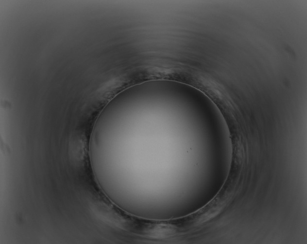 X0000091000463200708021604