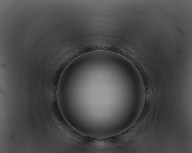 X0000091000464200708021604