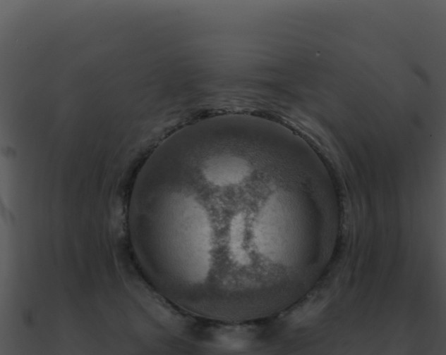 X0000091000465200708021604