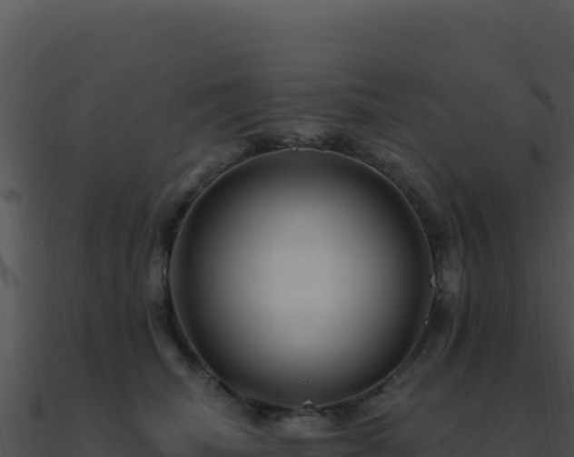 X0000091000468200708021604