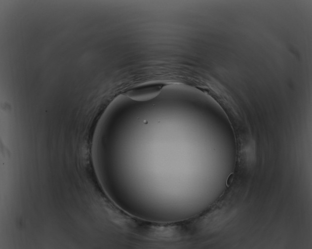 X0000091000469200708021604