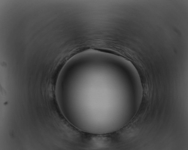X0000091000470200708021604