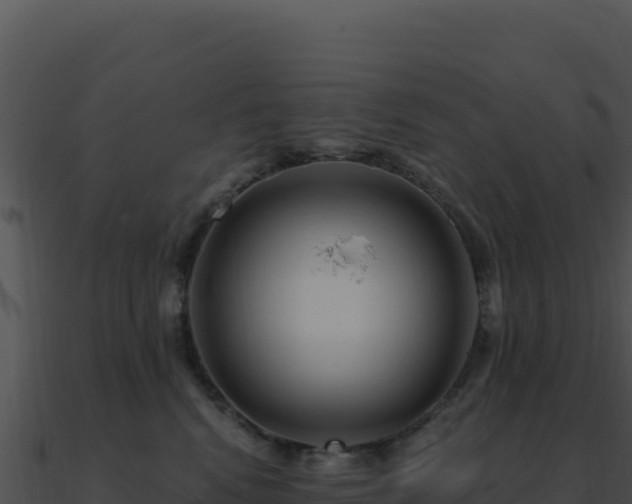 X0000091000472200708021604