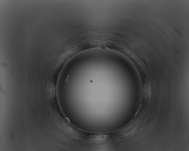 X0000091000474200708021604