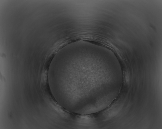 X0000091000475200708021604