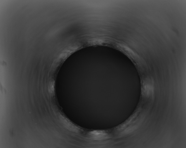 X0000091000477200708021604