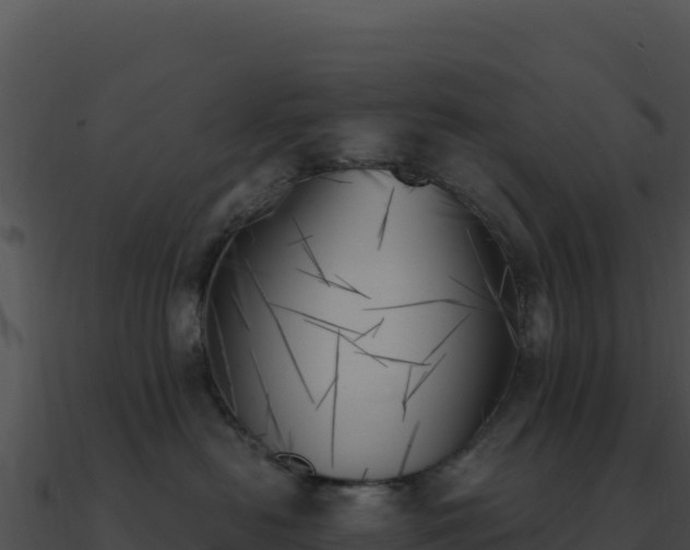 X0000091000478200708021604