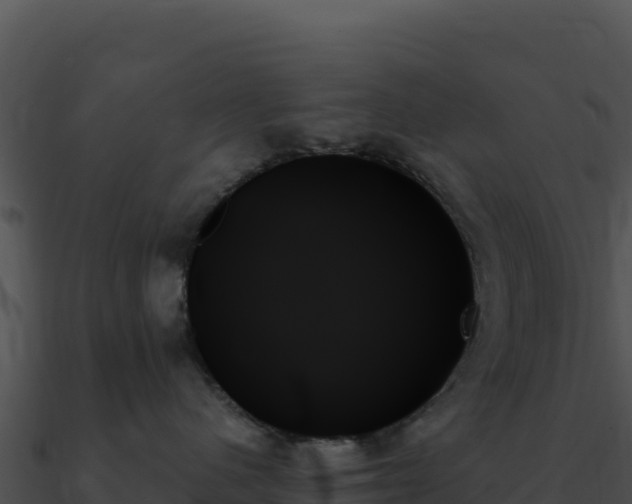 X0000091000480200708021604