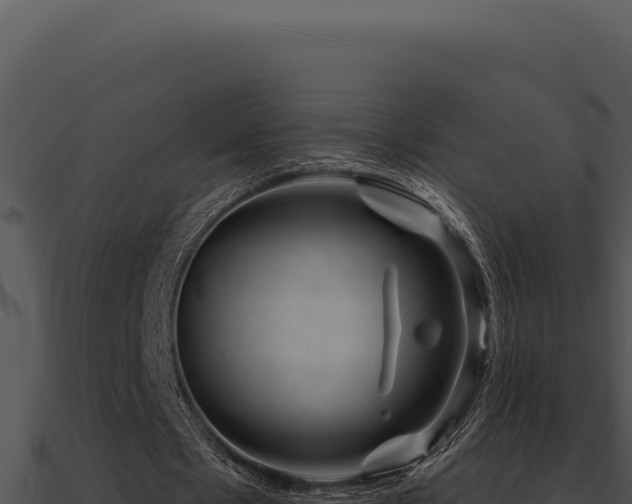 X0000091000481200708021604