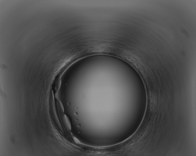 X0000091000482200708021604