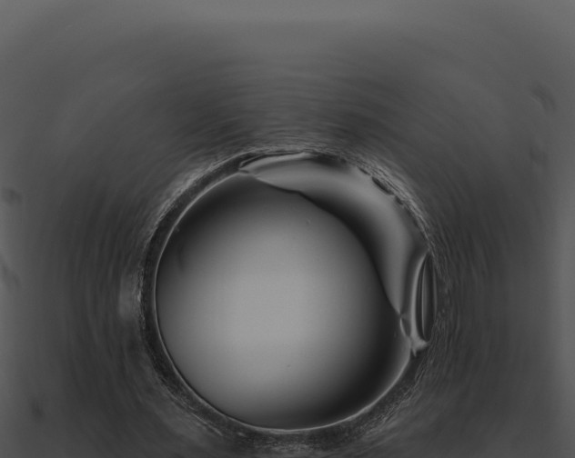X0000091000483200708021604