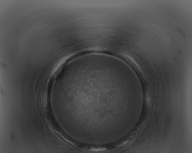 X0000091000484200708021604