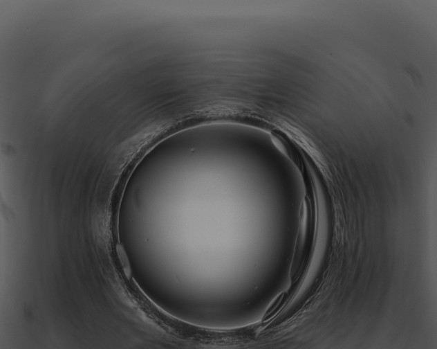 X0000091000485200708021604