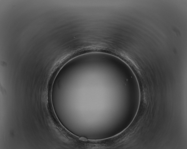 X0000091000486200708021604