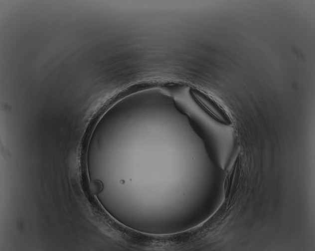 X0000091000487200708021604