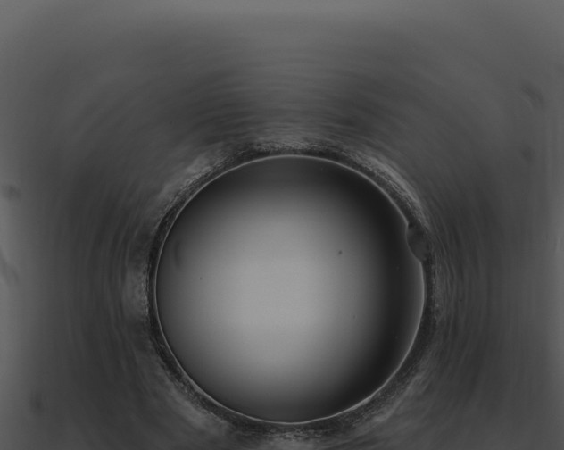 X0000091000489200708021604