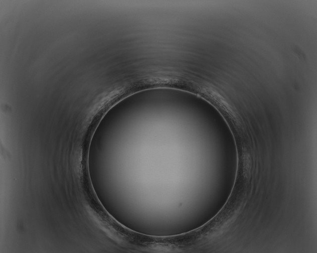 X0000091000490200708021604